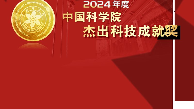 研发外包与内包：人员管理的策略与挑战