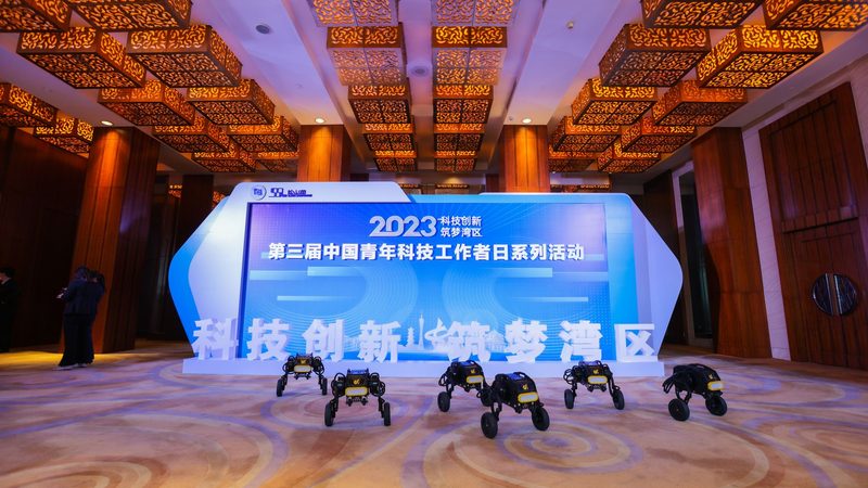 企业搜索系统安装：五大关键注意事项**